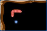 Game "Worm Food"
