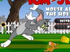 Game "Tom and Jerry - Mouse About the House"